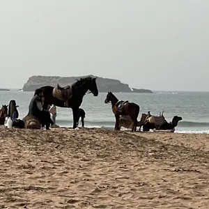 La Fantasia Essaouira